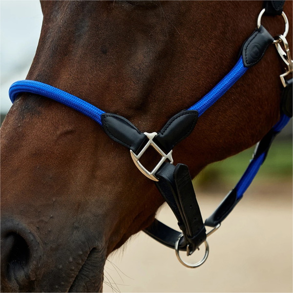 2026 Dublin Leather Rope Headcollar 1031533 - Cobalt / Black